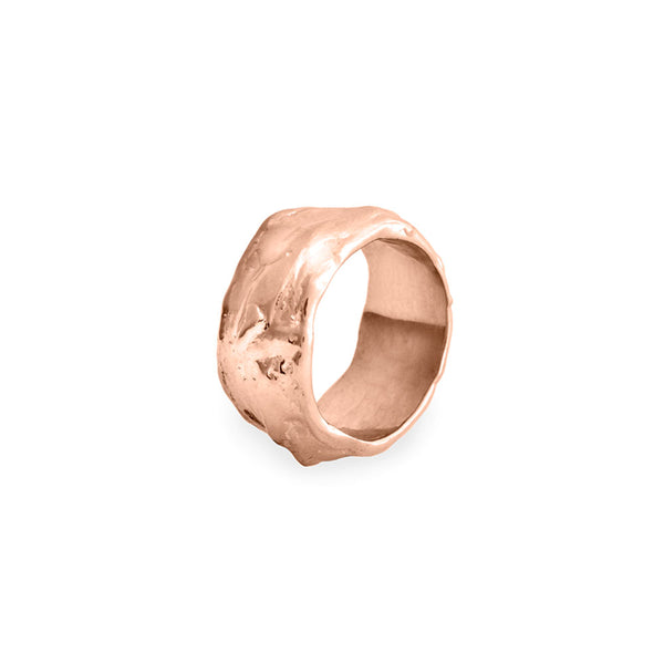 The Huntress | Women's Gold Antler Ring - Rustic & Main – Rustic and Main